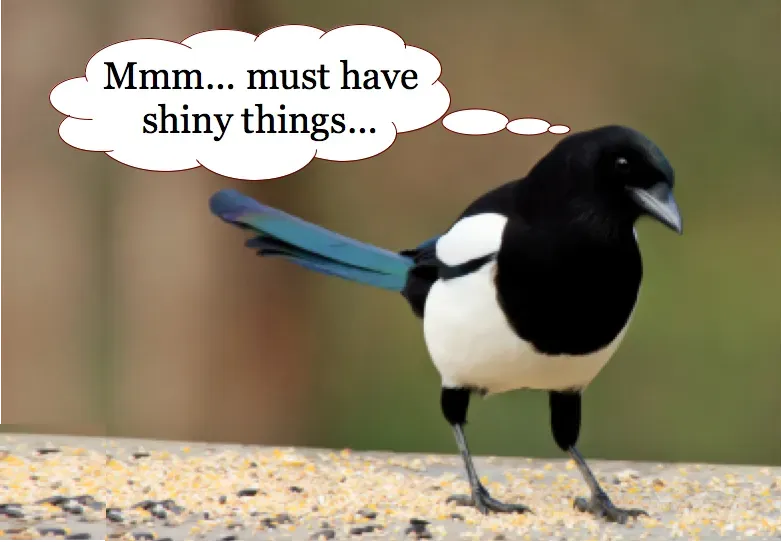 Magpie2_i-love-shiny-things
