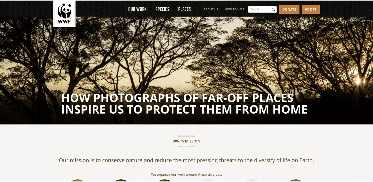 Screen Shot 2019 02 25 at 13.37.51